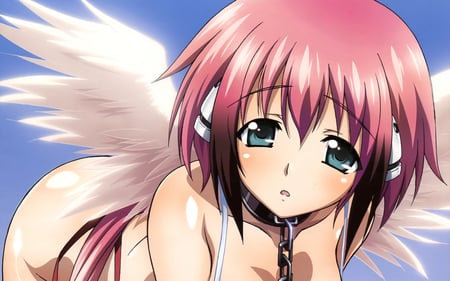 Ikaros - anime, no, sora, otoshimono