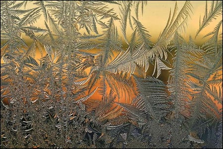 Frosty art - ice, window, frost, sunset, color, gold