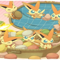 a basket of Macaron's for Victini's day