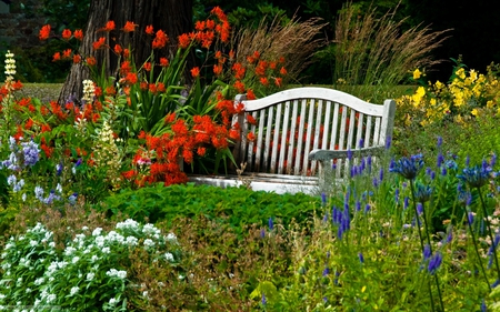 Harmony garden - nice, nature, flowers, bench, lovely, plants, garden