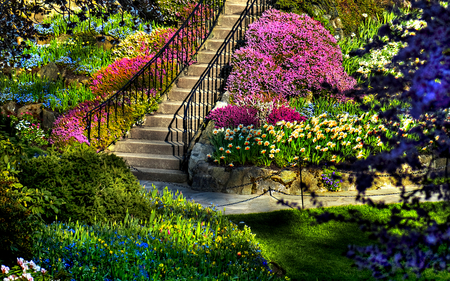 Beautiful Garden - pretty, upwards, blossom, lawn, spring, steps, flowers, path, colorful flowers, staircase, garden, plants, way, shrubs, beauty, colors, lawns, colours, nature, green, bank, heaven, blue, gardens, amazing, splendor, colourful, grass, spring time, blue flowers, view, stone, trees, beautiful, butchart, lovely, tree, colorful, stairs, colorful garden, mountains, peaceful, rocks, handrail