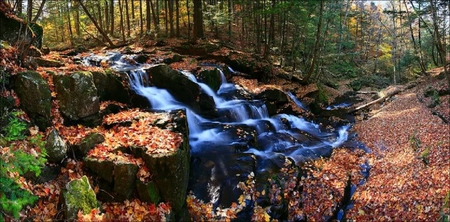 Waterfalls - leaves, water, falls, trees