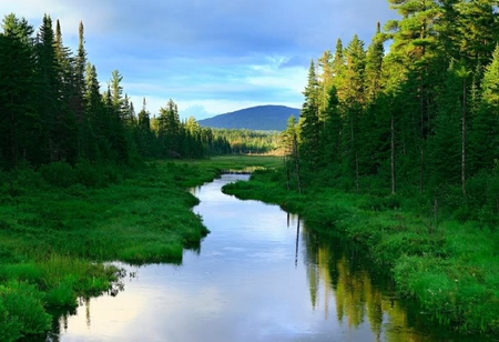 Through the Green Land - river, trees, water, sky