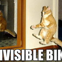 BIKER KITTY FOR JERRY