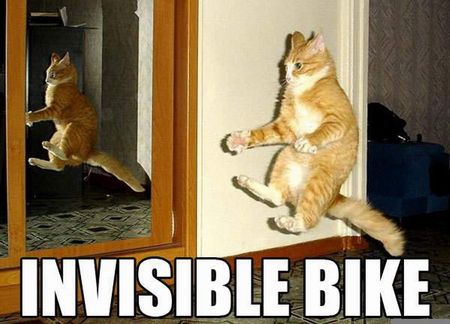 BIKER KITTY FOR JERRY - funny, cute, no bike, kitty