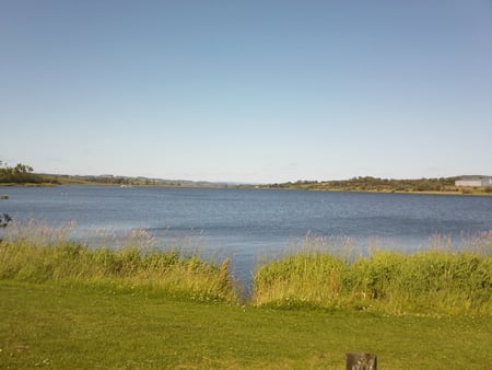 Lake on a sunny day - lake, sunny, water, grass