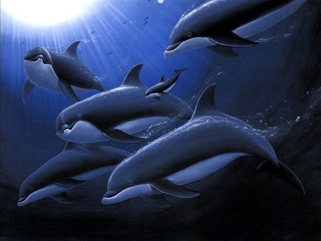 DOLPHIN ART - school, dolphins, ocean, art