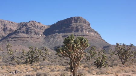 Arizona Desert HD - arizona, hd, grand canyon, desert