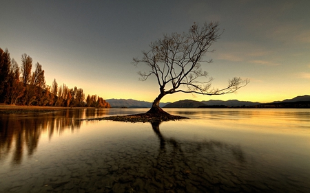 Half Tree - desktop, summer, wallpaper, mirror, shadows, paisagem, background, scenery, panorama, photography, cool, reflections, awesome, dark, serenity, creeks, scenario, multicolor, natural, laguna, rivers, clouds, cena, colours, dawn, tranquil, calm, seasons, pc, firs, beautiful, widescreen, islands, high definition, amazing, lightness, multi-coloured, brown, morning, light, colorful, paisage, branches, hd, wood, sky, sunsets, pines, scene, trees, sunrise, lagoons, brightness, forests, bright, grove, golden, gold, maroon, gray, paysage, photo, cenario, yellow, lake tree, darkness, landscapes, colors, day, horizon, lakes, black, reflected, hot, leaves, sundown, leaf, nature, autumn, water, beauty, photoshop, lakescape, sun, half tree, serene, sunny, sunrays, nice, new, roots