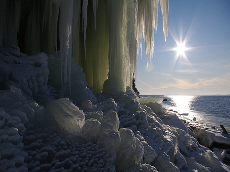 Winter Sunshine - snow, cold, winter, sun