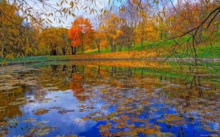 Autumn lake. - reflection, tree, fall, autumn, cloud, lake, leaf, sky, park