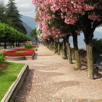 Path by the lake.