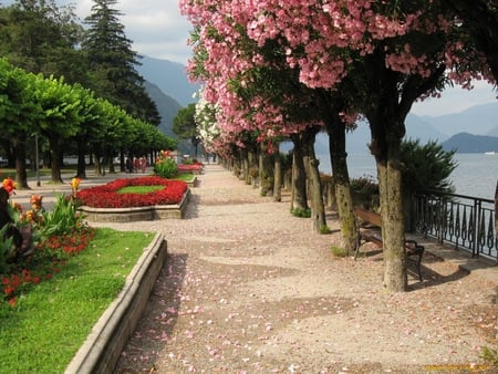 Path by the lake. - hedge, flower, path, seat, garden, lake, scenery, view, tree