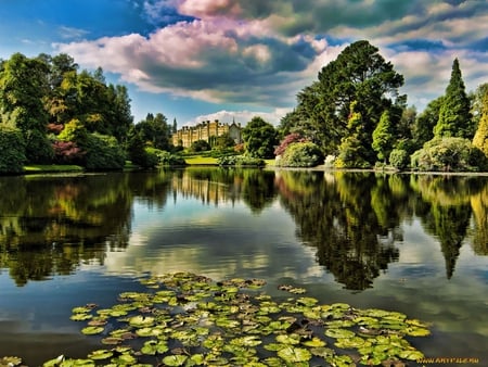 Lake. - sky, building, lake, cloud, reflection, waterlily, park, flower