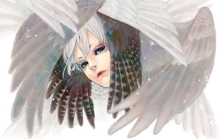 Wings - beauty, lips, hair, wings, eye, fantasy, face, white, pretty, anime, feather, cute, girl, lovely, wing, snow, beautiful