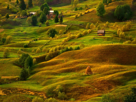 Life on the slope - slope, autumn, mountain, summer, nature, life, green, house, grass