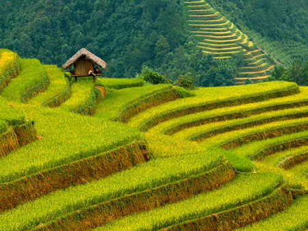 Cascade mountain - house, nature, cascade, beautiful, green, mountain, cottage