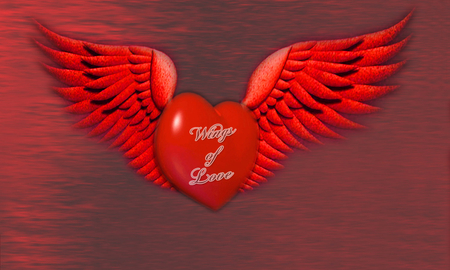 wings of love - wings, valentines, heart, red