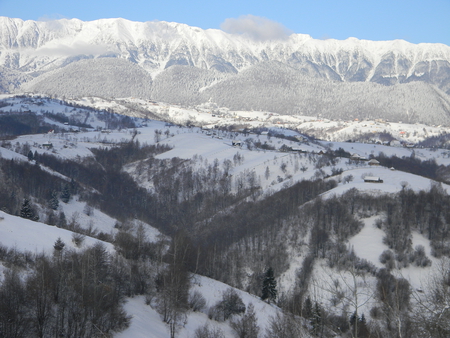 mountains - snow, ice, winter, forest