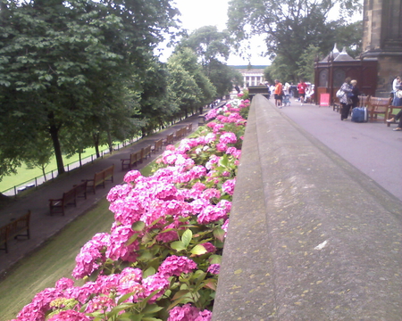 Princes Street Gardens Flowers - flowers, princes street, edinburgh, gardens