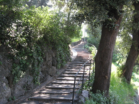 Stairways into the forest - trees, stairs, nature, italy, genova