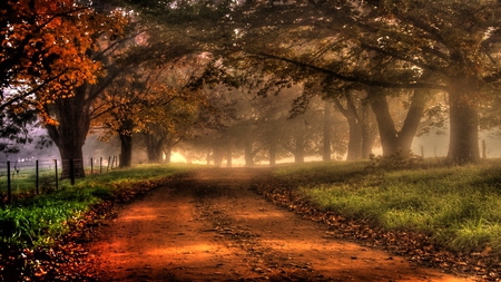 Misty Autumn Morn - path, pretty, road, beautiful, perspective, hdr, lovely, trees, colorful