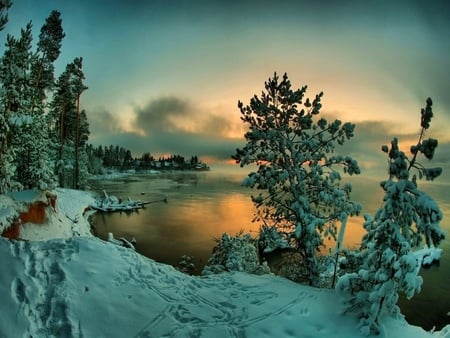 Winter Sunset - pc, sun, panorama, winterscape, colorful, white, amazing, halo, evening, sunrays, frozen, paysage, snowy, trunks, branches, wallpaper, ambar, nature, beautiful, leaves, pines, beauty, nice, sky, trees, photography, image, green, desktop, landscapes, paisage, blue, scenery, awesome, gray, amber, natural, horizon, sundown, sunset, view, cold, cool, roots, afternoon, golden, sunny, sunbeams, cena, multi-coloured, scenario, photoshop, snow, dawn, seasons, sunrise, sunshine, leaf, multicolor, clouds, sunsets, orange, fullscreen, scene, morning, paisagem, firs, background, day, winter, gold, picture, colours, cenario, colors, photo