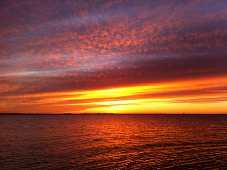 Brilliant Sunset - sky, evening, sun, orange, dusk