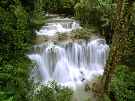 Forest Cascade Waterfalls