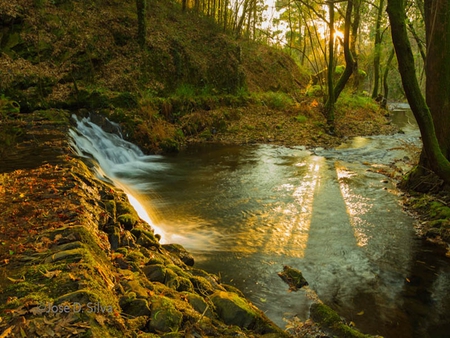 Sunshine - falls, forest, sun, river, stream, waterfall