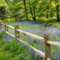 Kew Gardens, London --- Fence-line