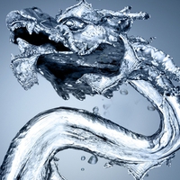 Water Dragon