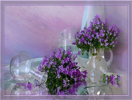 Beautiful - vase, delicate, water, small, petals, still life, jug, flowers, white, passion, purple, reflective, bunch, glass, pastel