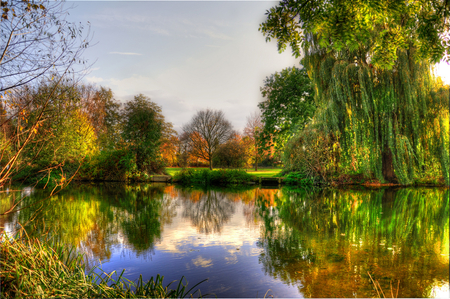 Reflecting beauty - beauty, lake, sky, landscape, background, trees, water, image, willow, nature, picture, reflection, blue, green, reflecting