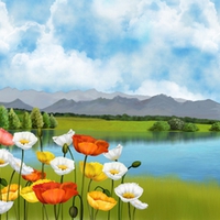 Poppies Pond