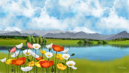 Poppies Pond - lake, sky, trees, summer, field, mountains, spring, country, scenery, flowers, poppies, poppy