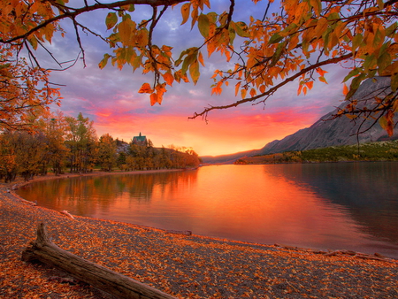 Autumn red - trees, branches, water, sundown, beach, sunrise, colors, leaves, mountain, fall, river, sunset, nature, red, lake