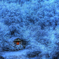 Engulfed in Winter
