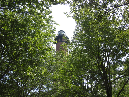 currituck lighthouse - trees, through, the, currituck