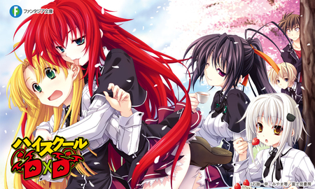 HighSchool dxd - girls, characters, cute, anime