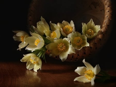 Still Life - yellow, pale, beautiful, flowers, basket, still life