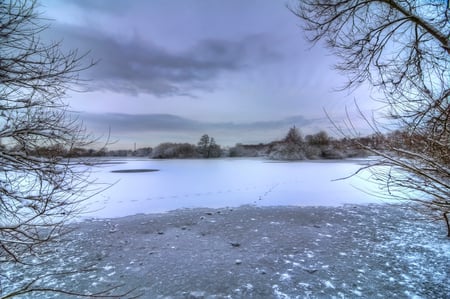 Winter time - icy, time, white, background, picture, image, nature, cold, winter, landscape, beauty, branches, lake, sky, silence, places, clouds, snow