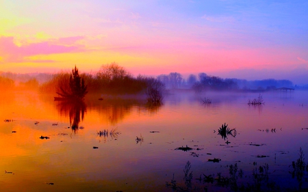 RIVER FOG - trees, water, nature, fog, sunrise, sky