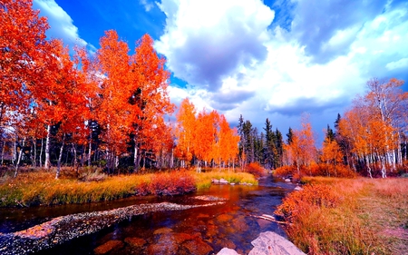 AUTUMN RIVER - nature, sky, autumn, trees, landscape, river