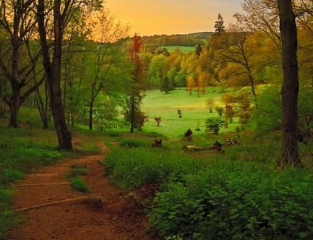 Going Down to the Open Field - steps, ground, trees, hedges