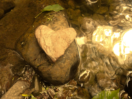 Stone Heart - stone, water, heart, nature