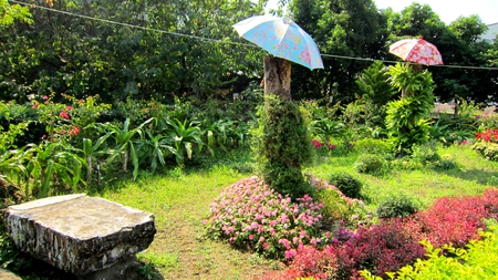 Park - stone chair, plant, parasol, park