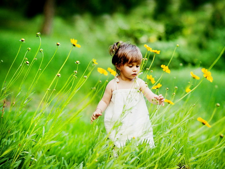 Little girl in floral field