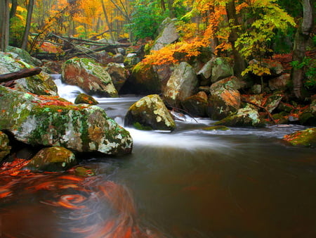 Swirls - water, beautiful, stream, forest, stones, fall, nature, autumn, swirls