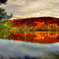 AUTUMN FOREST LAKE